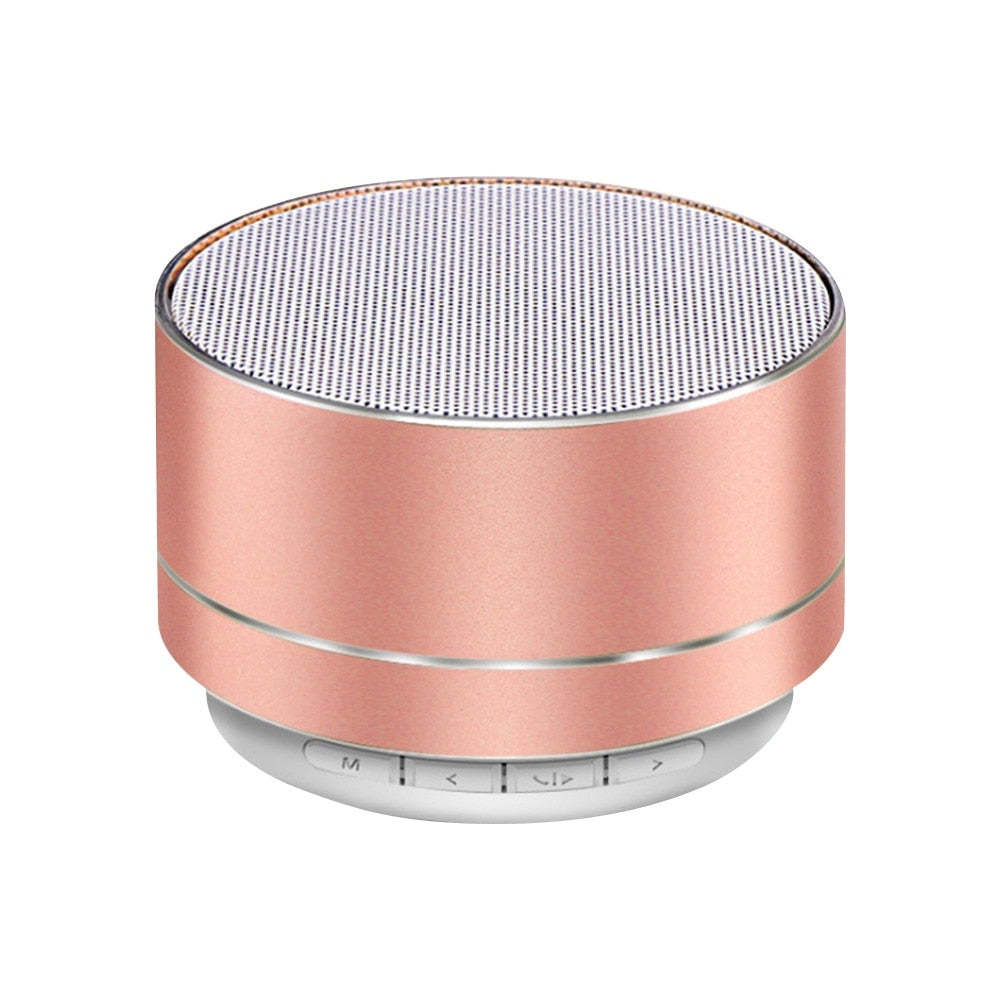 Haut Parleur Subwoofer Portable