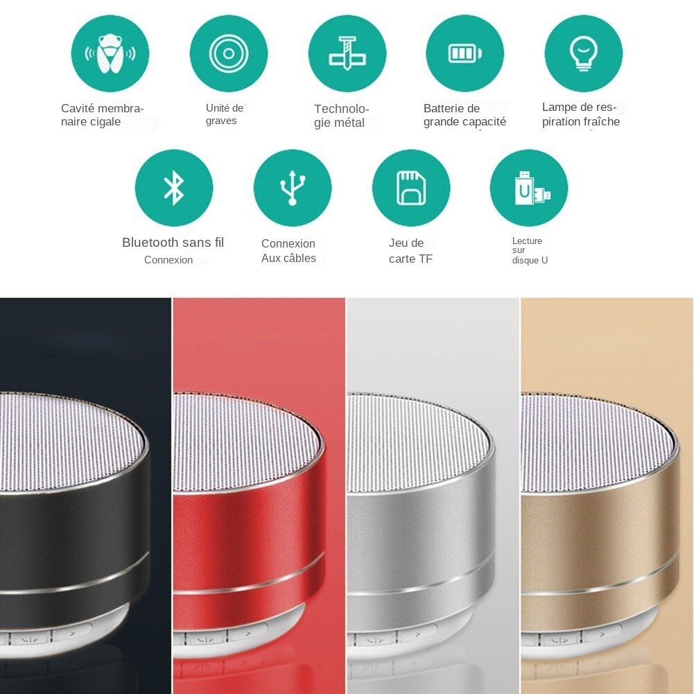 Haut Parleur Subwoofer Portable