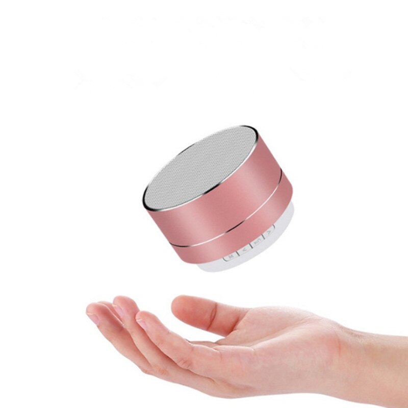 Haut Parleur Subwoofer Portable