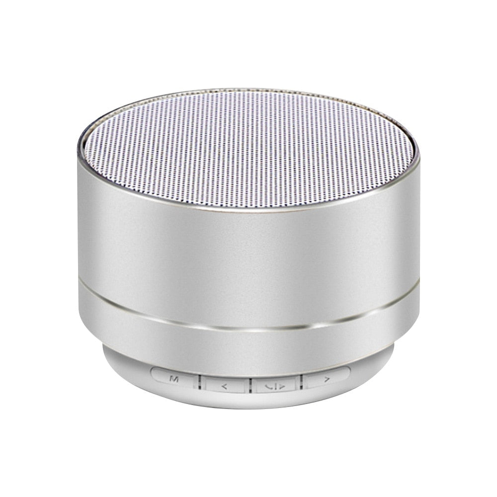 Haut Parleur Subwoofer Portable